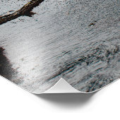 Mistroostige avond bij Point Lobos Foto Afdruk (Hoek)