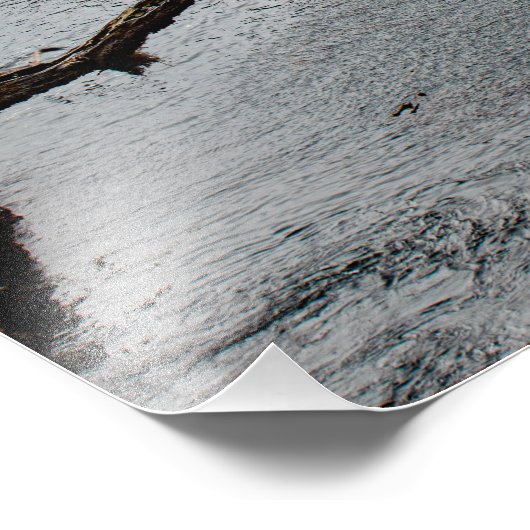 Mistroostige avond bij Point Lobos Foto Afdruk (Hoek)