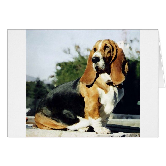 Misty (Voorkant Horizontaal)