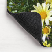 Misty (Agryranthemum) Muismat (Hoek)