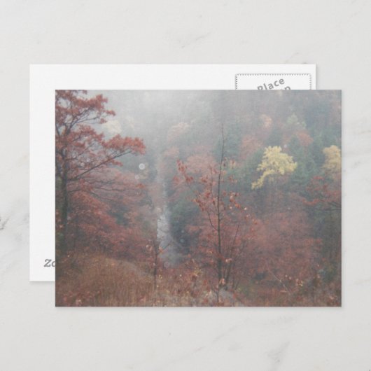 Misty Autumn Bossen Briefkaart (Voorkant / Achterkant)