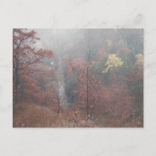 Misty Autumn Bossen Briefkaart