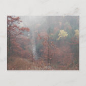 Misty Autumn Bossen Briefkaart (Voorkant)