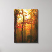 Misty Autumn Morning Canvas (Voorkant)