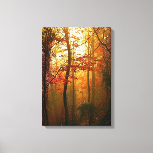 Misty Autumn Morning Canvas Afdruk (Voorkant)