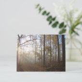 Misty Autumn Morning in het bos #2 Briefkaart (Staand voorkant)