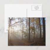Misty Autumn Morning in het bos #2 Briefkaart (Voorkant / Achterkant)