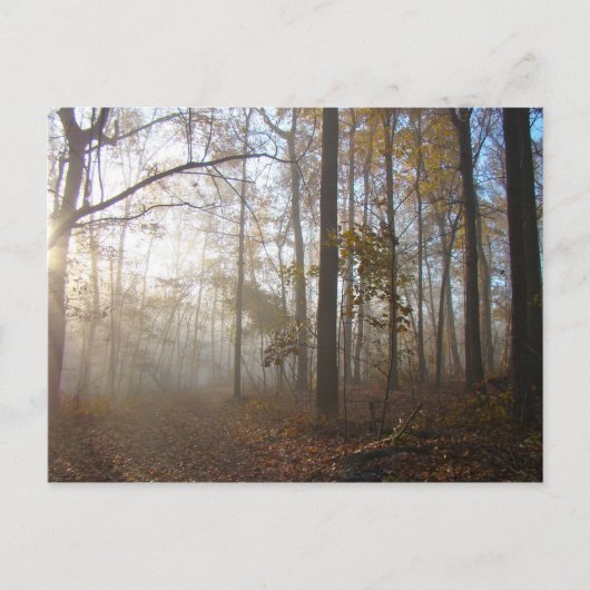 Misty Autumn Morning in het bos #2 Briefkaart (Voorkant)