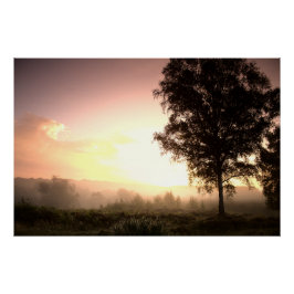 Misty Autumn Sunrise (4543) Perfect Poster