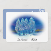 Misty Blue Spruce Trees Northern Lights Painting (Voorkant / Achterkant)