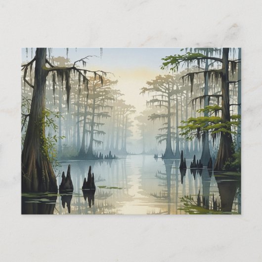Misty Congaree National Park South Carolina Briefkaart (Voorkant)