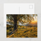 Misty Dawn in een bos Briefkaart (Voorkant / Achterkant)