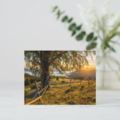 Misty Dawn in een bos Briefkaart (Staand voorkant)