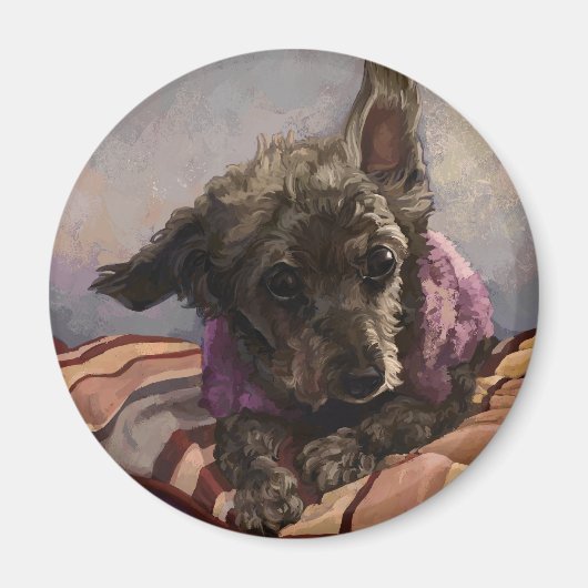 Misty de poedel magneet (Voorkant)