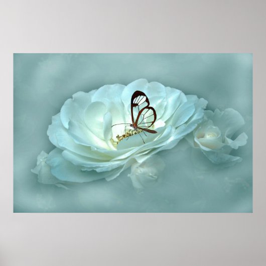 MISTY DREAMS POSTER (Voorkant)