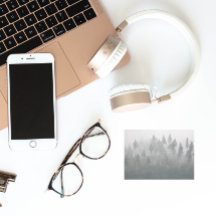 Misty Evergreen Forest Landschap