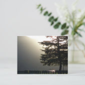 Misty Fir Tree bij Shasta Dam Briefkaart (Staand voorkant)