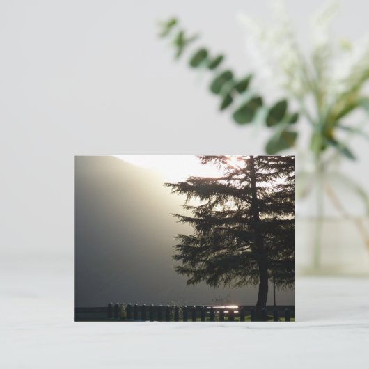 Misty Fir Tree bij Shasta Dam Briefkaart (Staand voorkant)