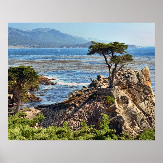 Misty Fog Schilderachtig Californische centrale ku Poster (Voorkant)