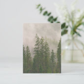 Misty Foggy Forest Bomen Briefkaart (Staand voorkant)