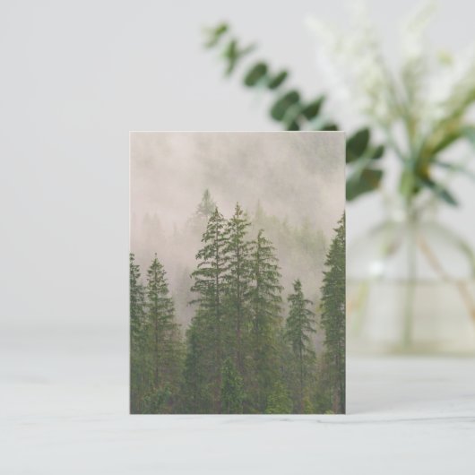 Misty Foggy Forest Bomen Briefkaart (Staand voorkant)