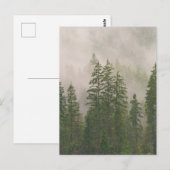 Misty Foggy Forest Bomen Briefkaart (Voorkant / Achterkant)