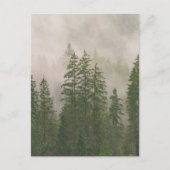 Misty Foggy Forest Bomen Briefkaart (Voorkant)