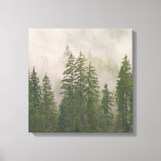 Misty Foggy Forest Bomen Canvas Afdruk (Voorkant)