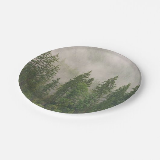 Misty Foggy Forest Bomen Papieren Bordje (Gekanteld)