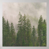 Misty Foggy Forest Bomen Poster (Voorkant)