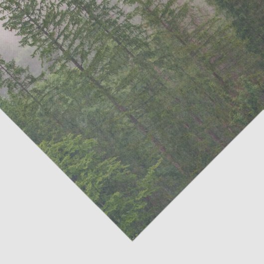 Misty Foggy Forest Bomen Tissuepapier (Detail)