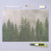 Misty Foggy Forest Bomen Tissuepapier (Craft)