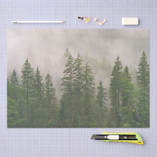 Misty Foggy Forest Bomen Tissuepapier (Craft)