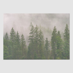 Misty Foggy Forest Bomen Tissuepapier