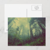 Misty Forest Briefkaart (Voorkant / Achterkant)