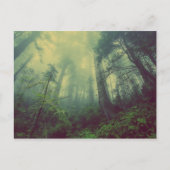 Misty Forest Briefkaart (Voorkant)