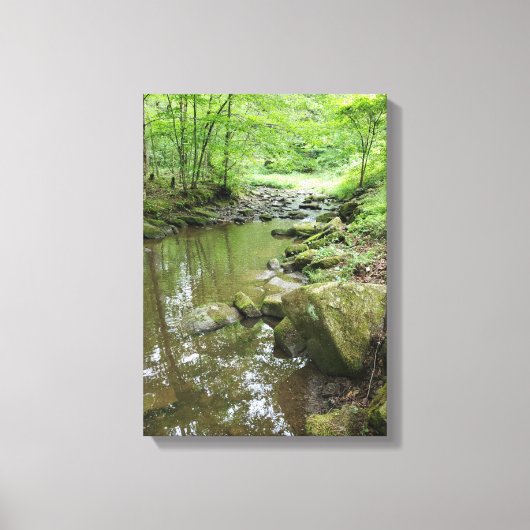Misty Forest Canvas Wall Art | Serene Nature (Voorkant)