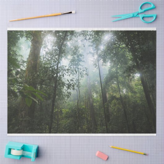 Misty Forest Decoupage Tissuepapier (Craft)