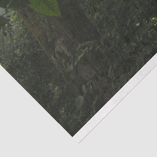 Misty Forest Decoupage Tissuepapier (Detail)