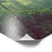 Misty Forest Foto Afdruk (Hoek)