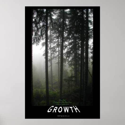 Misty Forest "Growth" Motivatie Foto Poster (Voorkant)