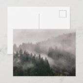 Misty Forest in de bergen Briefkaart (Voorkant / Achterkant)