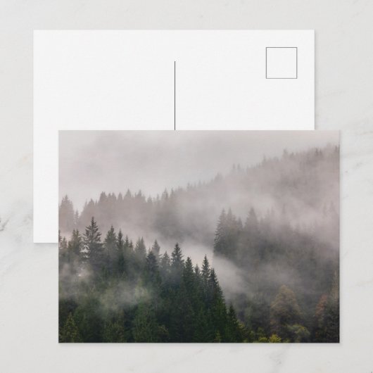Misty Forest in de bergen Briefkaart (Voorkant / Achterkant)
