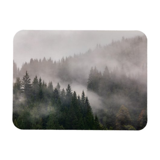 Misty Forest in de bergen Magneet (Horizontaal)