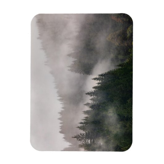 Misty Forest in de bergen Magneet (Verticaal)
