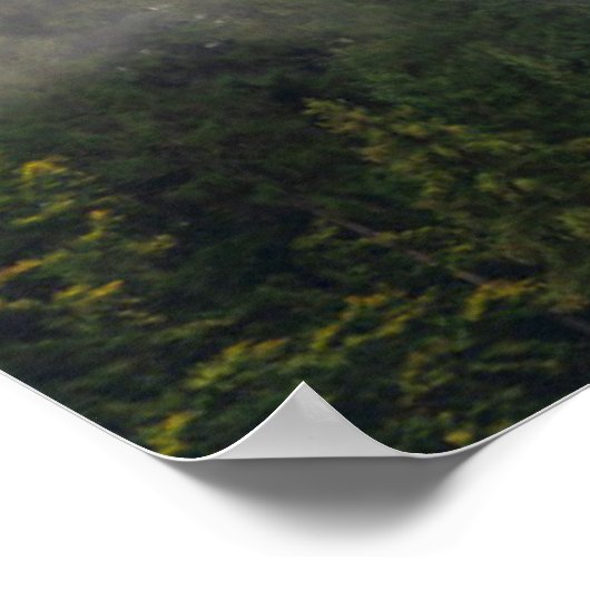 Misty Forest in de bergen Poster (Hoek)