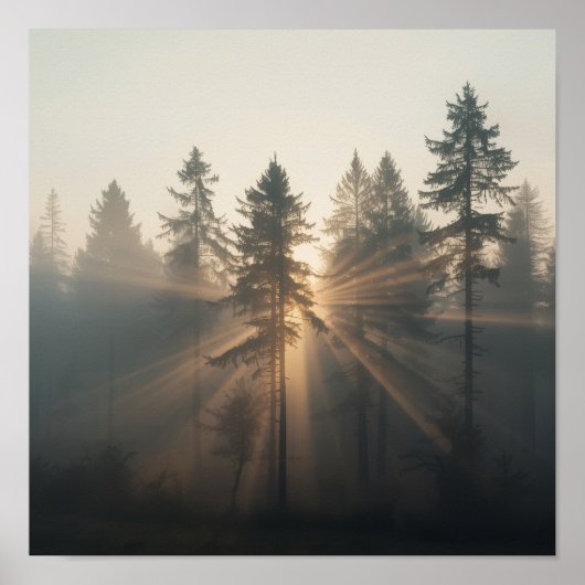 Misty Forest Morning Landscape Poster (Voorkant)