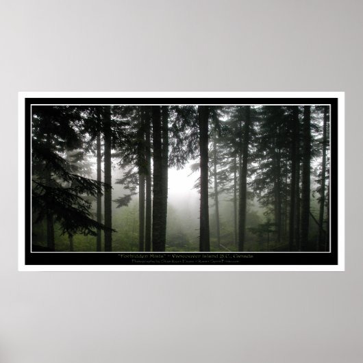 Misty Forest Mystical Photo Poster (Voorkant)