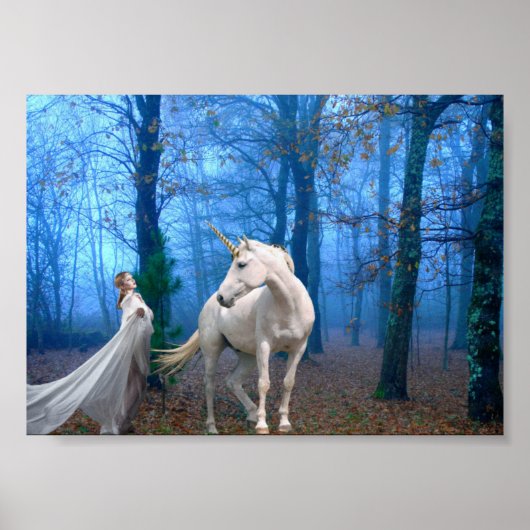 Misty Forest Poster (Voorkant)