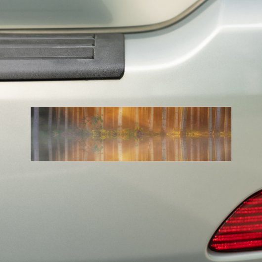 Misty Forest Scene Bumpersticker (Op auto)